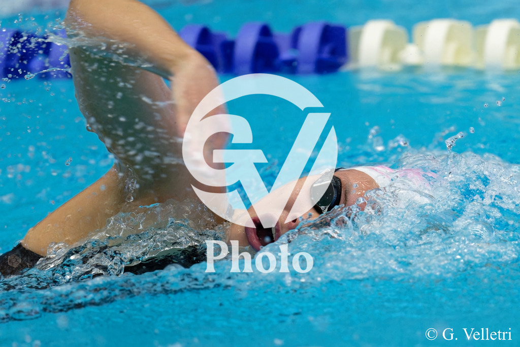 DSC_1419 | Velletri Photo