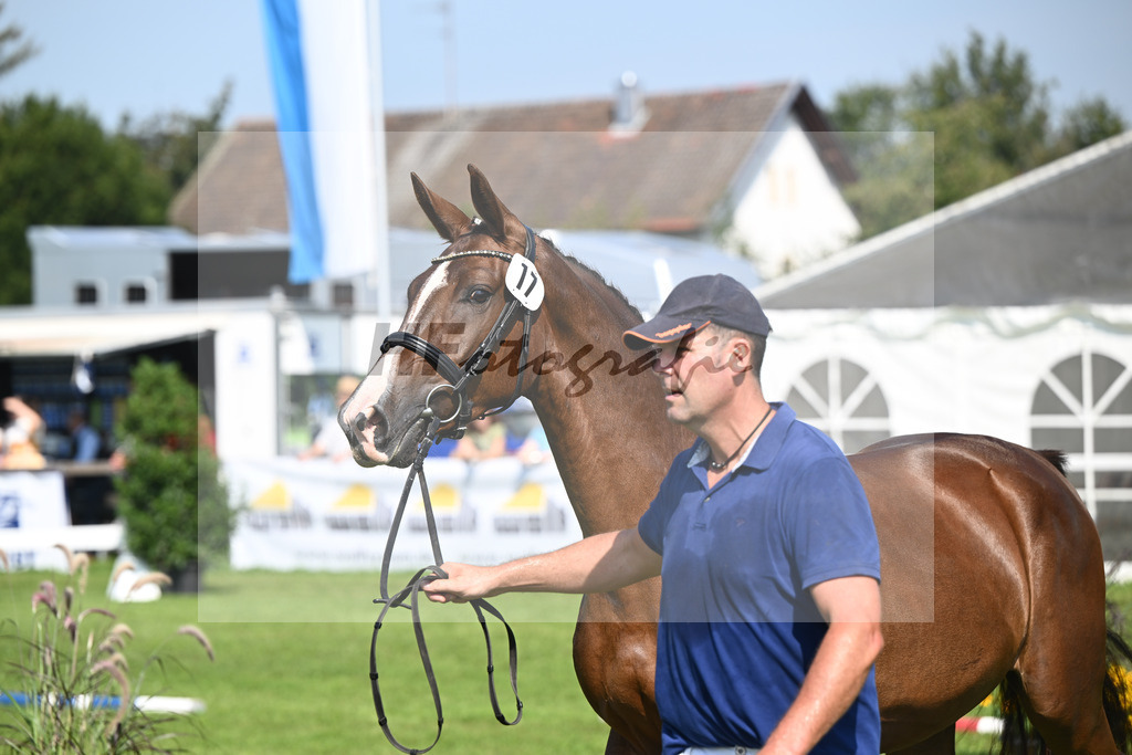 Kat-Nr. 17 nn v. Chardonnay_Wimmer_34240442 | hf-fotografie - Realisiert mit Pictrs.com