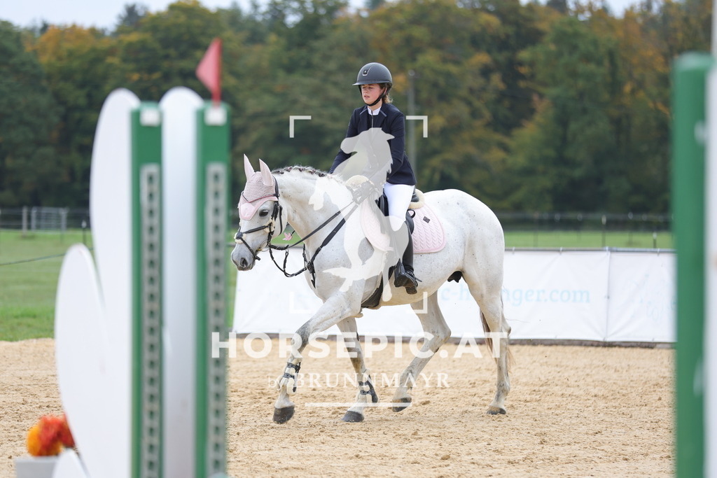 0P6A1301 | Willkommen bei Brunnmayr - Design & Fotografie – Ihrem Spezialisten für Reitturniere und Pferdeveranstaltungen in Oberösterreich, Salzburg und Bayern! Seit über 17 Jahren sind wir leidenschaftlich dabei.