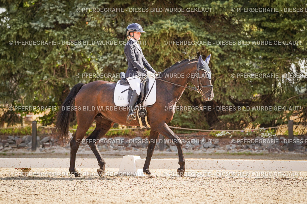 DSC00799 | Pferdegrafie