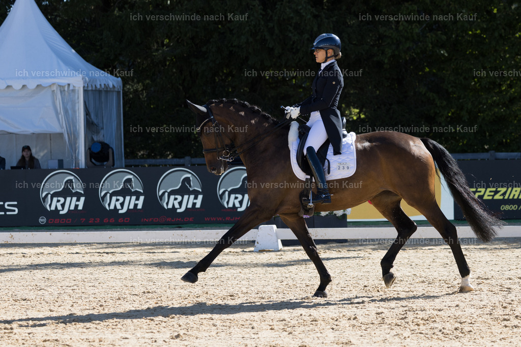 FHC2026_P07_239_17668 | working equitationturnier fotograf videograf stoibphotography marixx film working equitation deutschland reitsport turnierfotografie eventfotografie equestrian events
