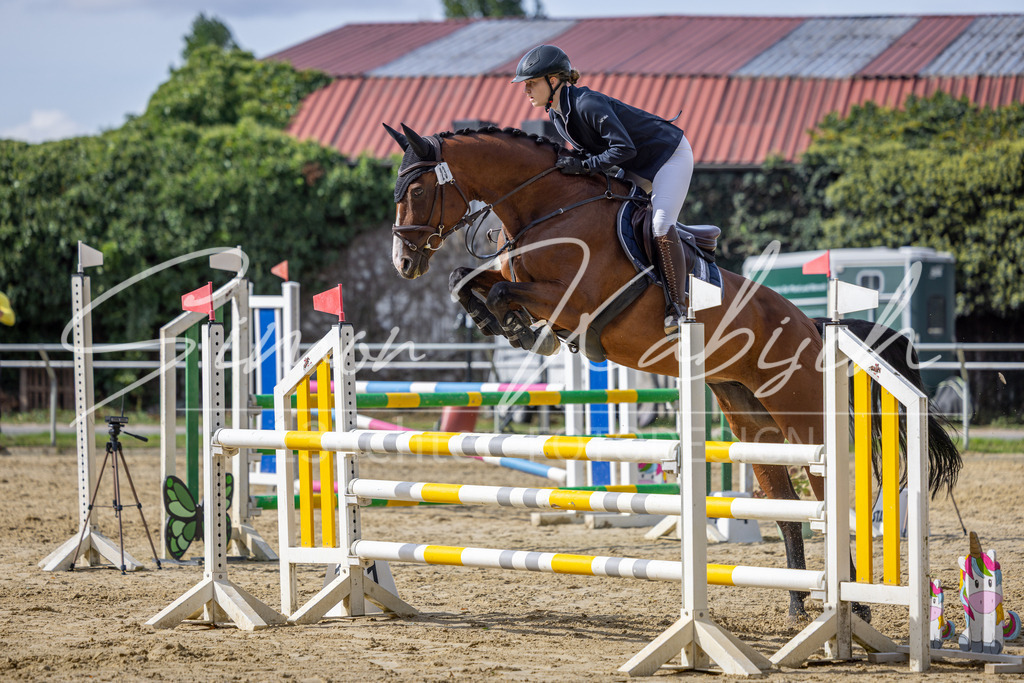 20260905-_3LI7473 | Tierfotografie Pferde, Hunde, Katzen, Haustiere.
Turnierfotografie Reitturniere, Reiten, Springreiten, Dressur in Hanau, dem Main-Kinzig-Kreis und dem Rhein-Main- Gebiet um Frankfurt