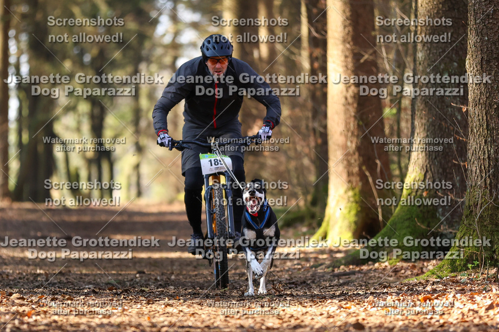 Dog Paparazzi - VCC26-953 | Dog Paparazzi Jeanette Grottendiek Fotografie & Videografie - Realisiert mit Pictrs.com