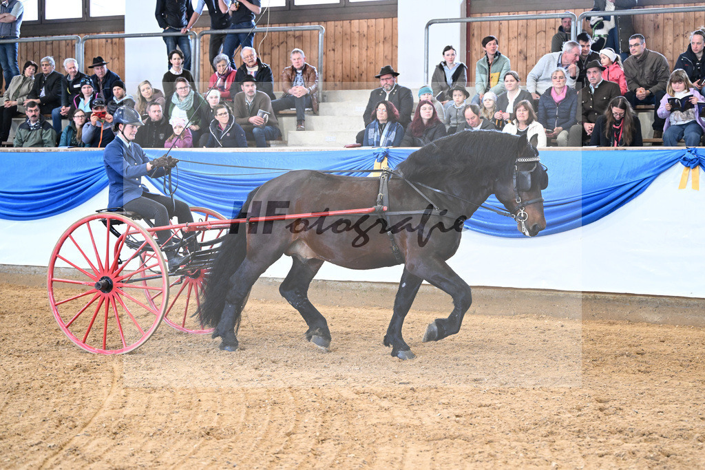 Nurejev_11260154 | hf-fotografie - Realizzato con Pictrs.com