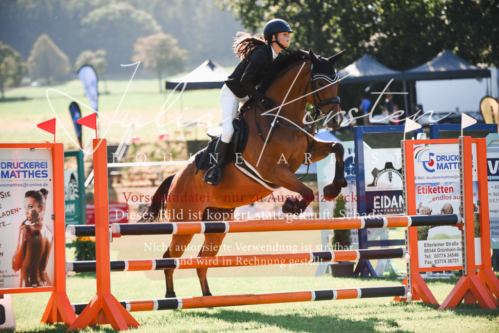 DSC_2436 | Pferde- und Turnierfotografie in Westsachsen. Pferdeportraits, Auftragszeichnungen und intuitive Kunst.