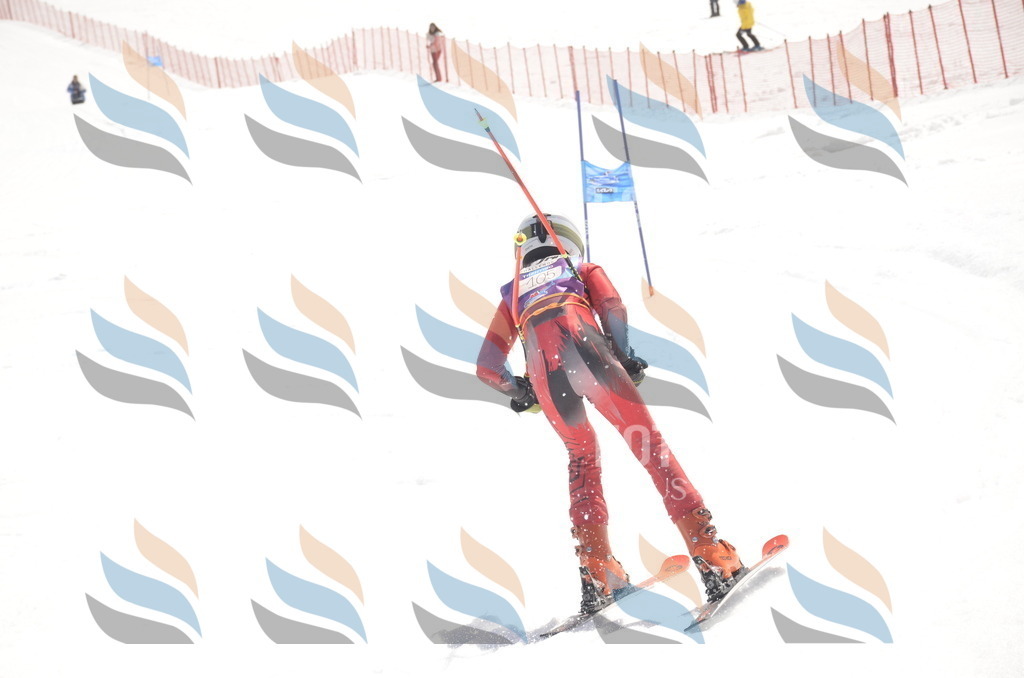 _ELE9417 | holidayphoto