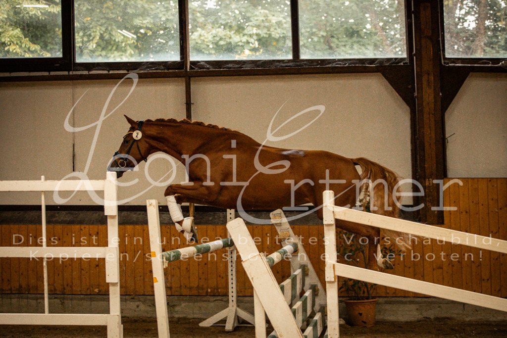 1FS_L00051 | Leoni Ertmer Photography - Realisiert mit Pictrs.com