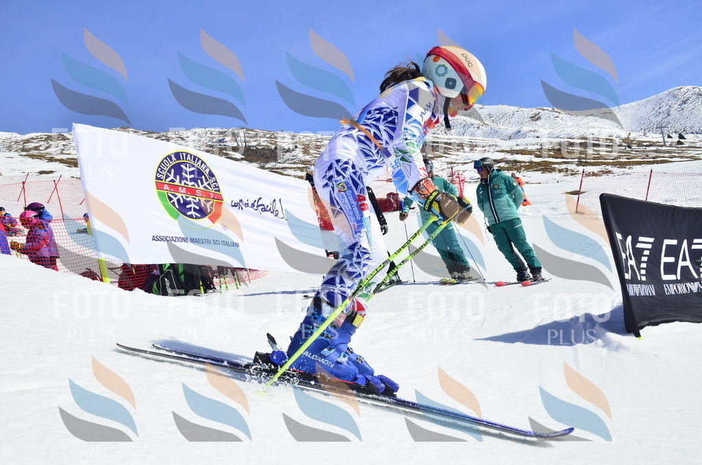 _ELE0128 | holidayphoto