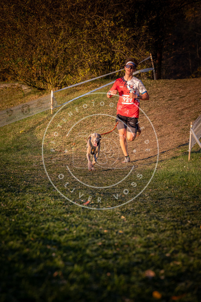 CaniXpix_0L8A1714 | Hundefotografie, Tierfotograf, Pfotenfotografie, Fotoshooting Hund, Hunde Portrait, Hundesport, Hundeportraits, Heideshooting, Hunde, Sportfotograf, Hundefotograf, Turnierhundsport, THS,  - Realisiert mit Pictrs.com