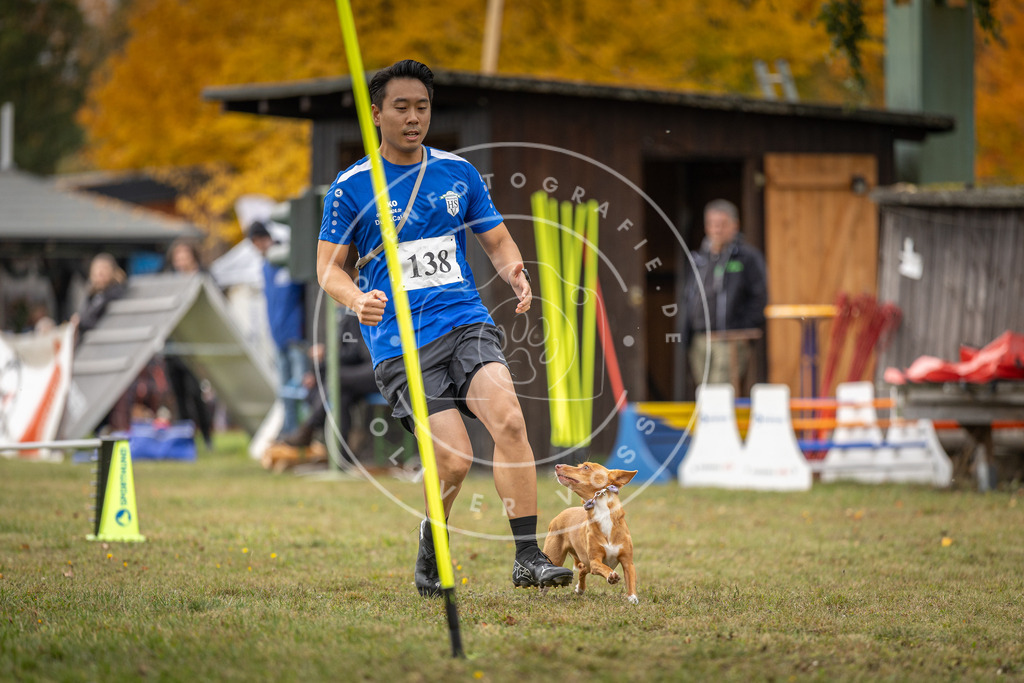Pfotenfotografie_DV3A7878 | Hundefotografie, Tierfotograf, Pfotenfotografie, Fotoshooting Hund, Hunde Portrait, Hundesport, Hundeportraits, Heideshooting, Hunde, Sportfotograf, Hundefotograf, Turnierhundsport, THS,  - Realisiert mit Pictrs.com