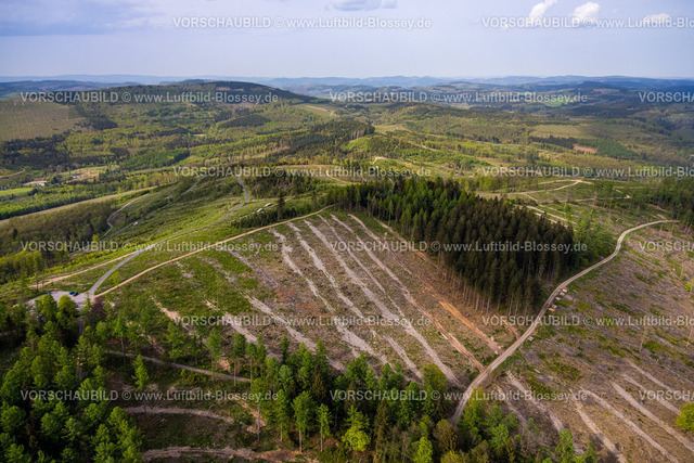 Kreuztal240502514Grubenfeld-Littfeld-Kindelsberg | Luftbild, Waldgebiet mit Waldschäden, Grubenfeld Grubengelände Littfeld Kindelsberg, Fernsicht Hügel und Täler, Ferndorf, Kreuztal, Nordrhein-Westfalen, Deutschland