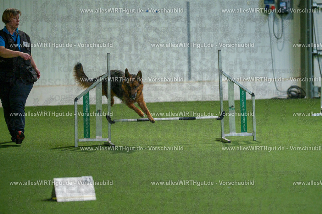 7R508003 | Professionelle Tierfotografie in Mönchengladbach von Daniel Wirth (allesWIRTHgut). Liebevolle & natürliche Bilder von Hunden & Katzen für unvergessliche Erinnerungen.