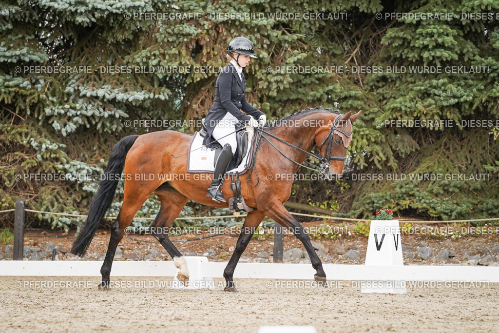 DSC05478 | Pferdegrafie