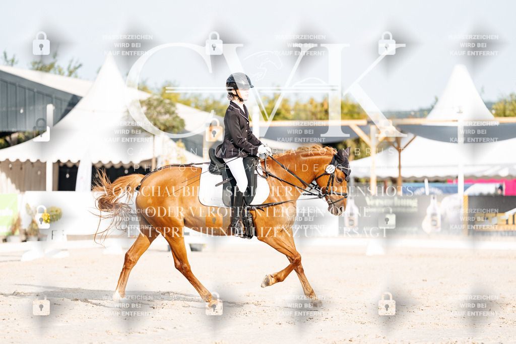 CK903812 | Turnierfotografie Pferdefotografie Trier Rheinland-Pfalz Pferdesport Reitsport Tierfotografie Sportfotografie Pferdevideo Pferdevideografie Equestrianvideography equestrianphotography  - Realisiert mit Pictrs.com