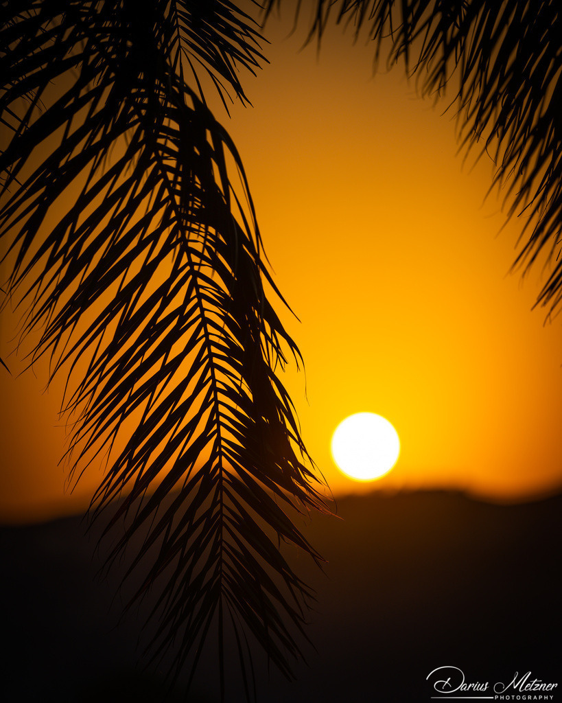 Bilder aus Assuan | Bilder aus Assuan