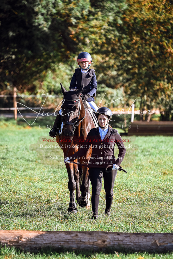 DSC_0234 | Pferde- und Turnierfotografie in Westsachsen. Pferdeportraits, Auftragszeichnungen und intuitive Kunst.