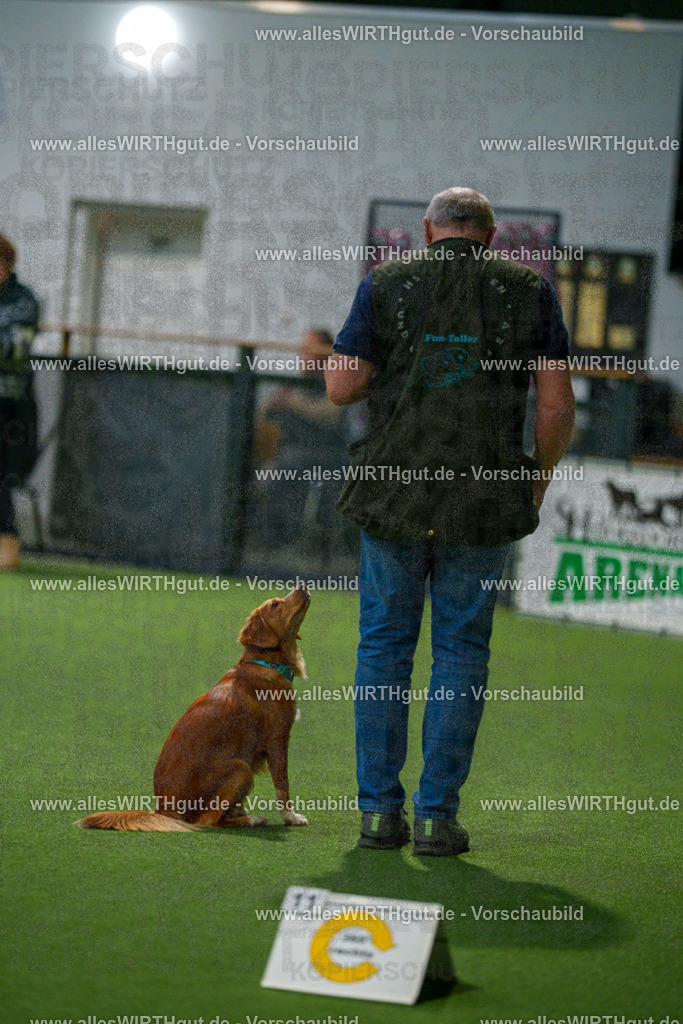 7R504552 | Professionelle Tierfotografie in Mönchengladbach von Daniel Wirth (allesWIRTHgut). Liebevolle & natürliche Bilder von Hunden & Katzen für unvergessliche Erinnerungen.