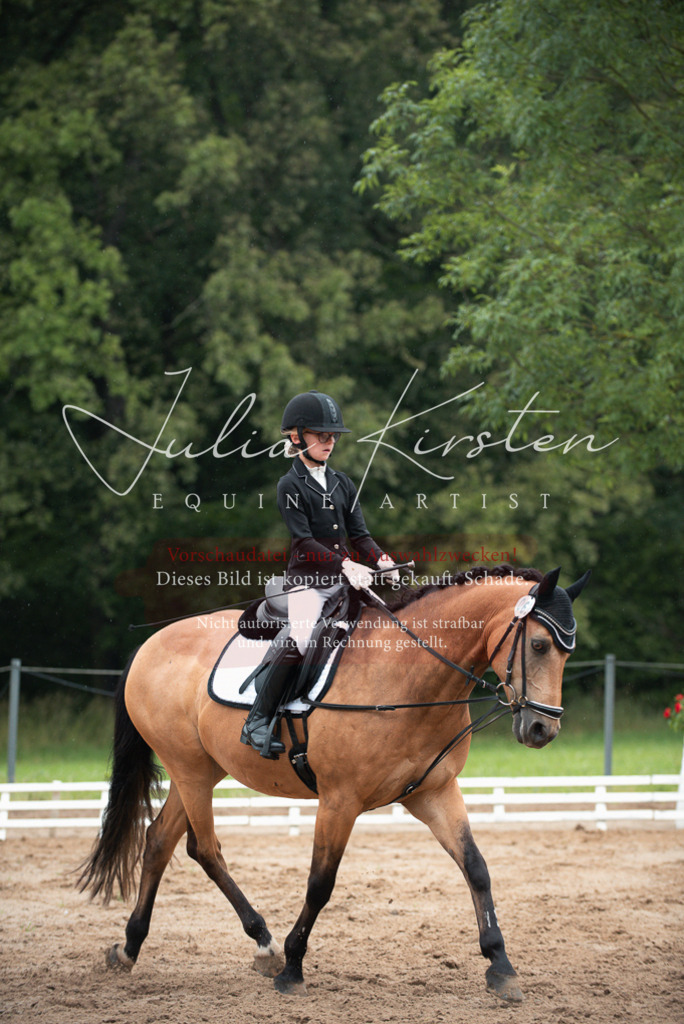 DSC_9867 | Pferde- und Turnierfotografie in Westsachsen. Pferdeportraits, Auftragszeichnungen und intuitive Kunst.
