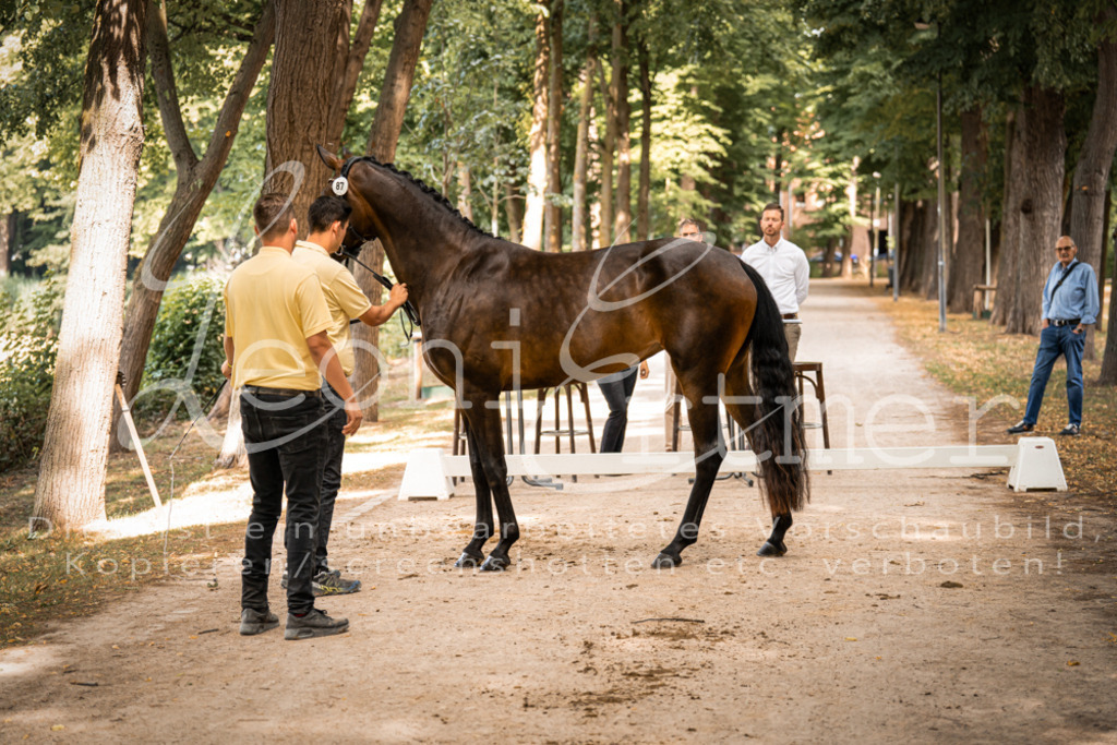 FrPfM00151 | Leoni Ertmer Photography - Realisiert mit Pictrs.com