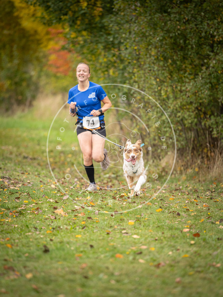 Pfotenfotografie_DV3A2897 | Hundefotografie, Tierfotograf, Pfotenfotografie, Fotoshooting Hund, Hunde Portrait, Hundesport, Hundeportraits, Heideshooting, Hunde, Sportfotograf, Hundefotograf, Turnierhundsport, THS,  - Realisiert mit Pictrs.com