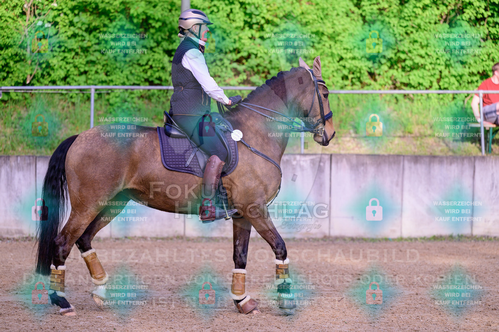02052026-Giesenbach-03-Speedtrail-0918 | Fokus Hufschlag Fotografie - Realisiert mit Pictrs.com