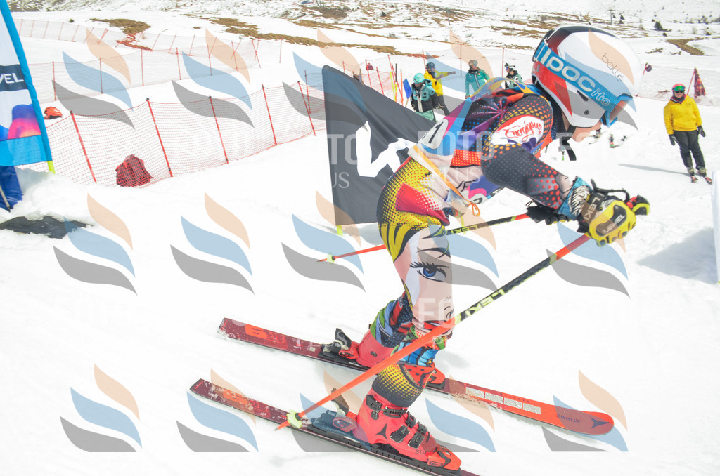 _ELE8404 | holidayphoto