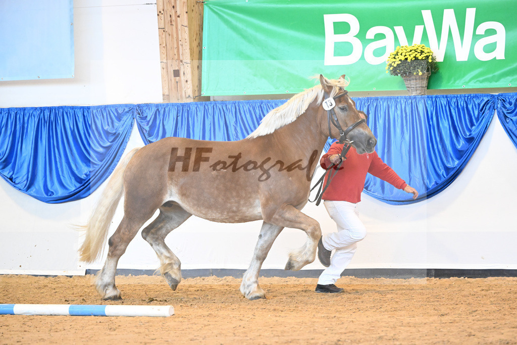Kat-Nr. 13 Hexe_ZG Meyer zu Huecker_53221002 | hf-fotografie - Realizzato con Pictrs.com