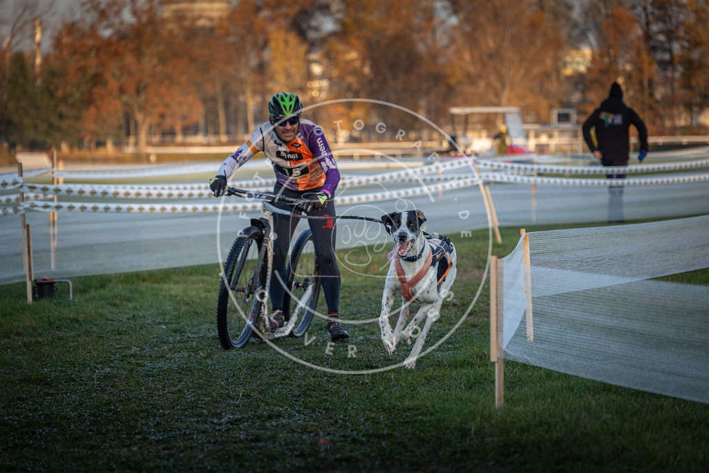 CaniXpix_0L8A1495 | Hundefotografie, Tierfotograf, Pfotenfotografie, Fotoshooting Hund, Hunde Portrait, Hundesport, Hundeportraits, Heideshooting, Hunde, Sportfotograf, Hundefotograf, Turnierhundsport, THS,  - Realisiert mit Pictrs.com
