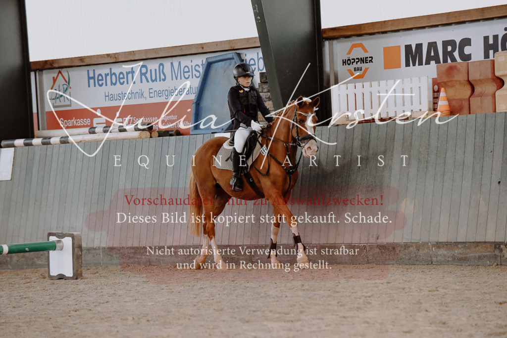 DSC_7457 | Pferde- und Turnierfotografie in Westsachsen. Pferdeportraits, Auftragszeichnungen und intuitive Kunst.