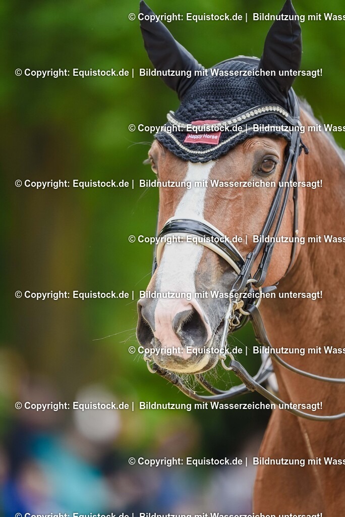 20250608_03_GP-Special-Tour_0094 | Foto: Thomas Hartig