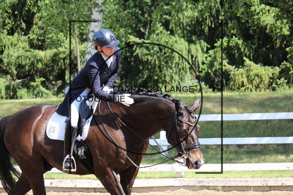 IMG_7252 | franziskalange - Realisiert mit Pictrs.com