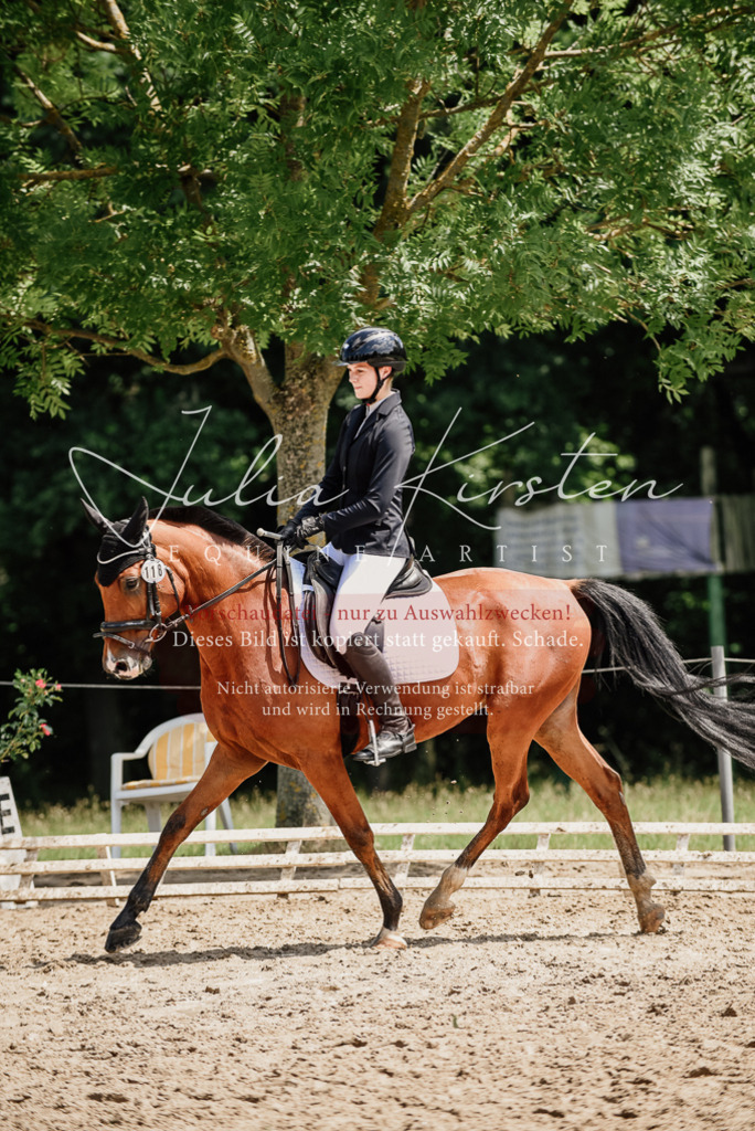 DSC_1756 | Pferde- und Turnierfotografie in Westsachsen. Pferdeportraits, Auftragszeichnungen und intuitive Kunst.