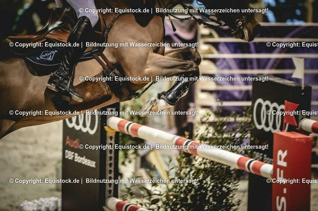 20240203_FEI-Jumping-World-Cup_0195 | Foto: Thomas Hartig