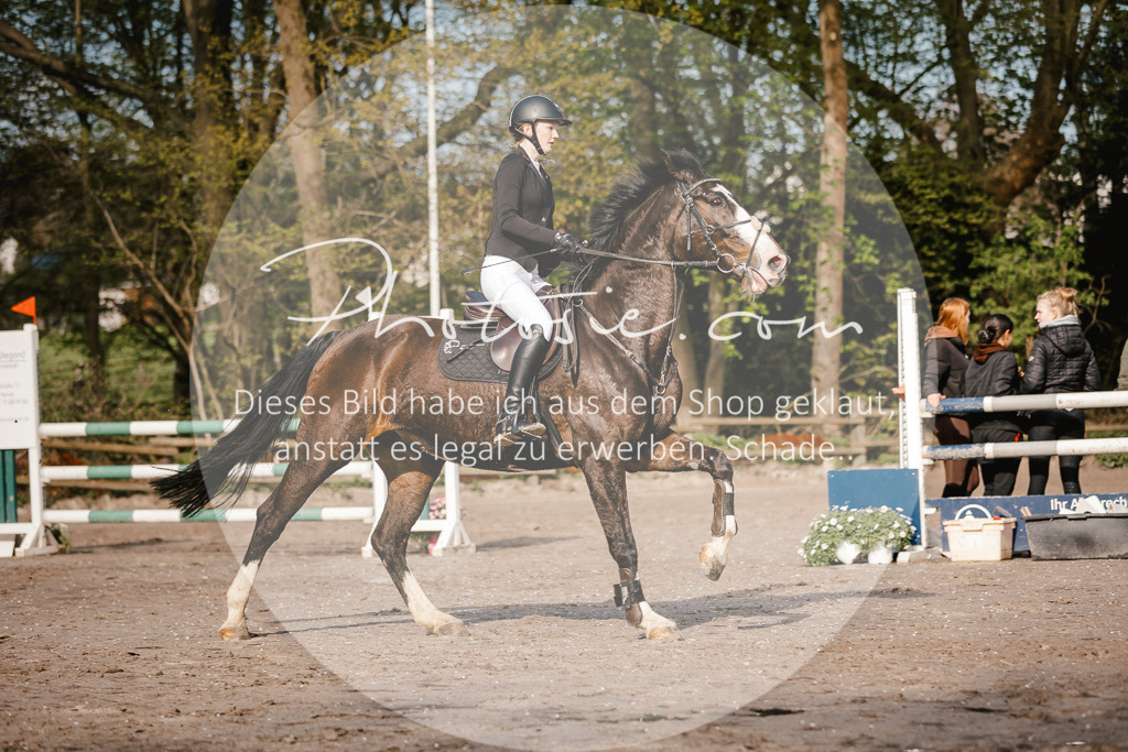 3I6A3496 | Stimmungsvolle Portraits und Reitsportfotografie im Ruhrgebiet und im Münsterland.

Pferdefotografie, Hundefotografie, Tierfotografie, Reportagen, Portraits von Tier und Mensch, Turnierfotografie in Bochum, Recklinghausen, Marl, Haltern am See, Dülmen.. - Realisiert mit Pictrs.com