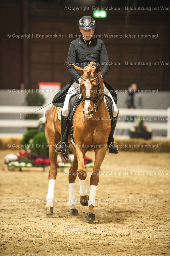 20240302_Hengstvorstellung_Marbach_TOMsPiC_0893 | equistock