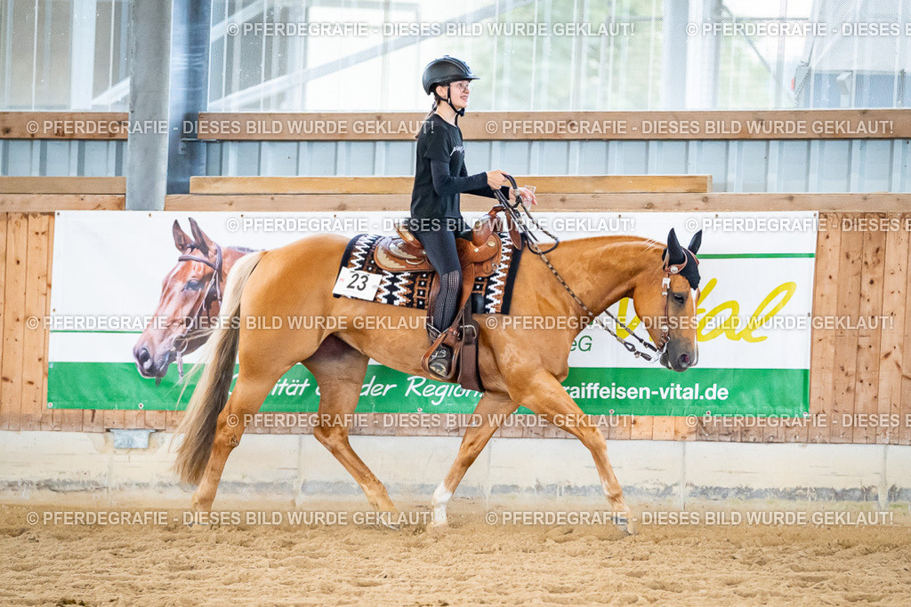 DSC09250 | Pferdegrafie