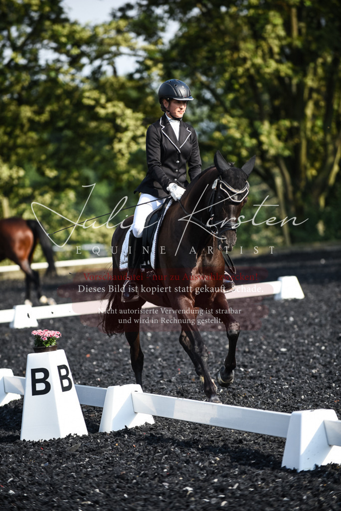 DSC_3189 | Pferde- und Turnierfotografie in Westsachsen. Pferdeportraits, Auftragszeichnungen und intuitive Kunst.