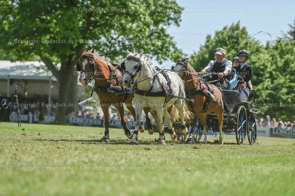 20230528_Jump-and-Drive_0284 | equistock