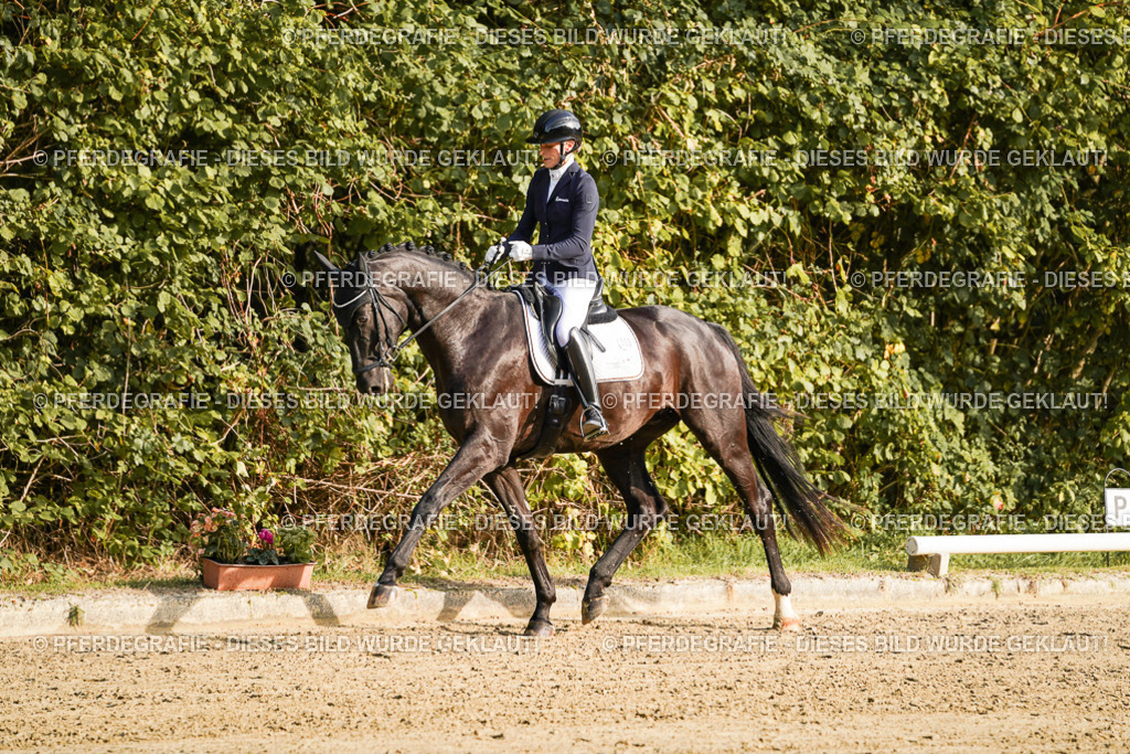 DSC04760 | Pferdegrafie