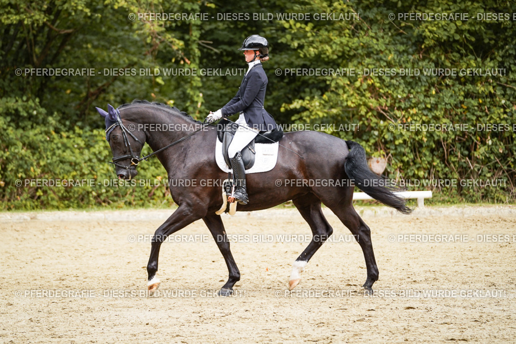 DSC00134 | Pferdegrafie