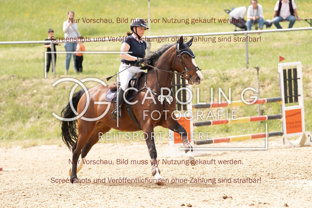 DSC06795 | Springturnier_Ehingen_Mai_2026, Miriam_Bohn, Karlshofs_Nele_FBW