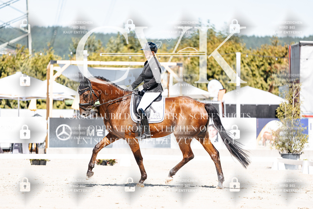CK909235 | Turnierfotografie Pferdefotografie Trier Rheinland-Pfalz Pferdesport Reitsport Tierfotografie Sportfotografie Pferdevideo Pferdevideografie Equestrianvideography equestrianphotography  - Realisiert mit Pictrs.com