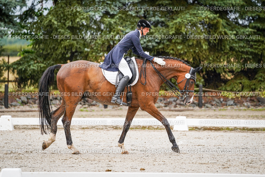 DSC08693 | Pferdegrafie