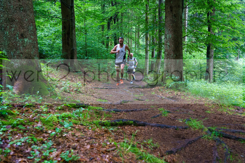 Rennsteig-Staffellauf | 24. Staffellauf - 22.06.2024 von Hörschel nach Blankenstein
