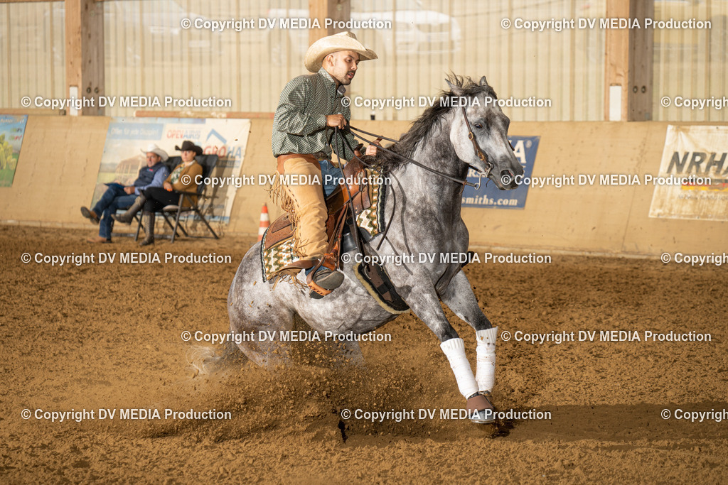 LAU00858 | dv-media-shop - Realisiert mit Pictrs.com