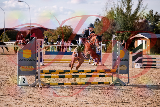 2026_10_03_Siefer-Hof_155750_Z81_77401806 | Professionelle Reitsport-, Turnier- und Eventfotografie von Robert Broda. Galerien mit ausgewählten und bearbeiteten Bildern direkt online ansehen und bestellen.