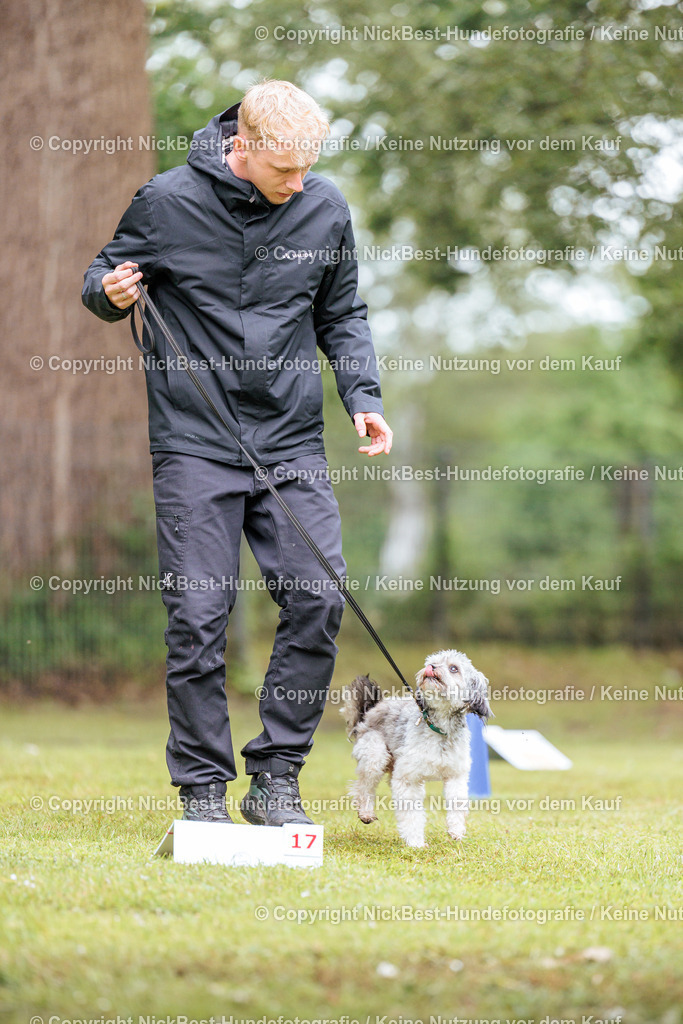 RO-Blumenthal-2026-Nickbest-Hundefotografie-4725 | Dein Hund! Dein Moment! Deine Erinnerungen! Hundefotografie in Bremen Blumenthal. Ich fange die besonderen Momente deines Vierbeiners ein – ob Indoor mit Blitzanlage oder in der freien Natur. Sicher dir dein Moment und dein Termin für eure Erinnerungen.
