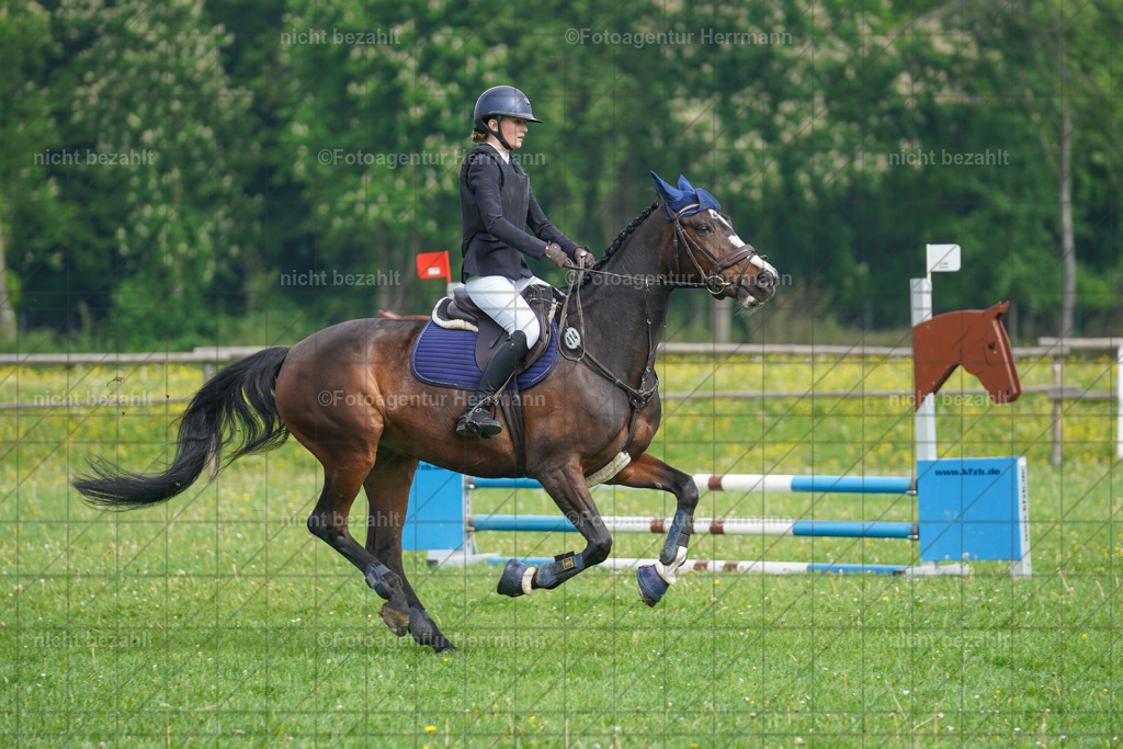 20240509-FAH02118 | Turnierbilder der Turnierfotografen Bayern, Pferdesport Fotografie, Reitsportbilder, Turnier Landberg am Lech, Turnierbilder bayern, Fotoagentur Herrmann