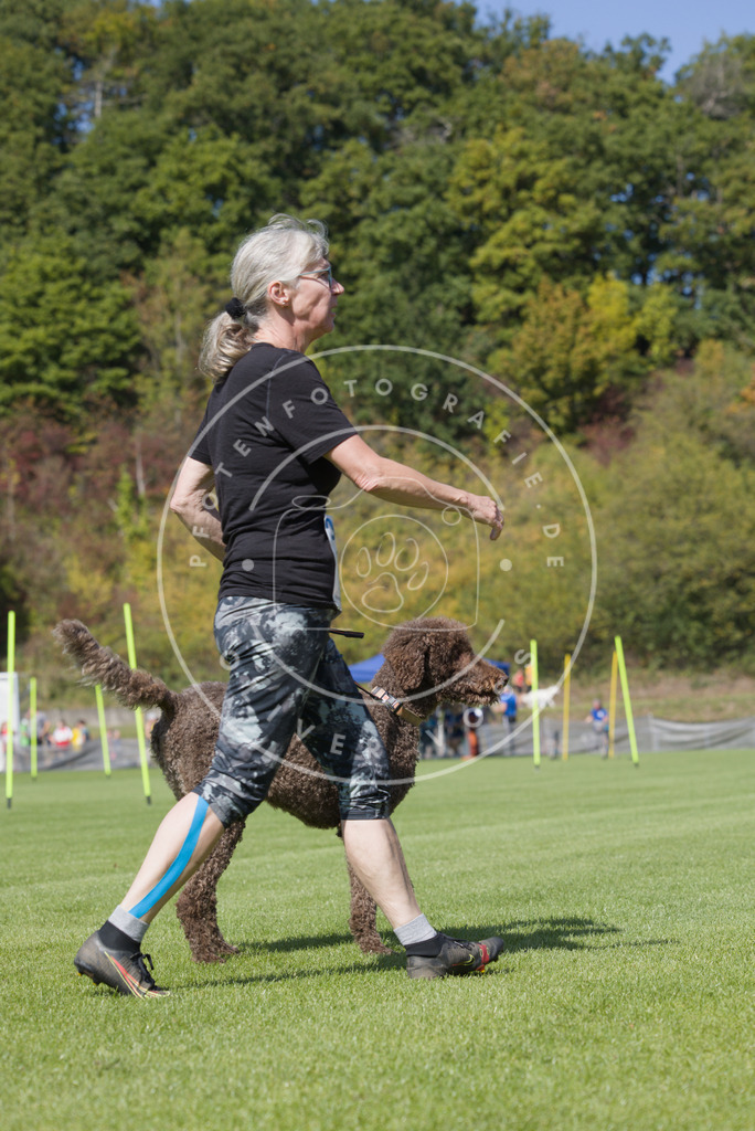 0L8A2742 | Hundefotografie, Tierfotograf, Pfotenfotografie, Fotoshooting Hund, Hunde Portrait, Hundesport, Hundeportraits, Heideshooting, Hunde, Sportfotograf, Hundefotograf, Turnierhundsport, THS,  - Realisiert mit Pictrs.com