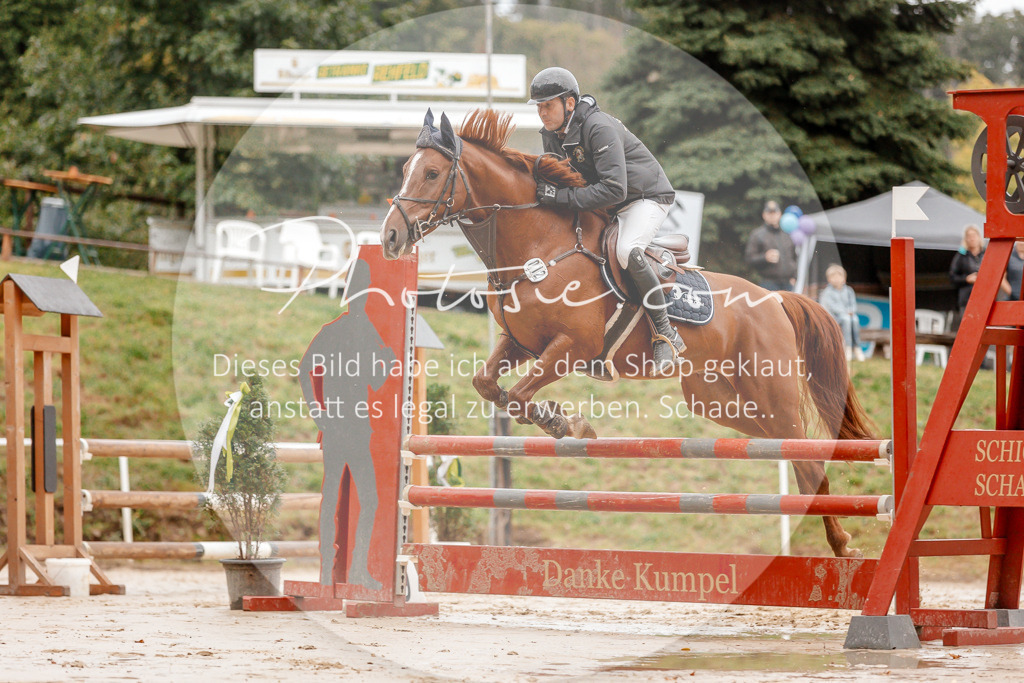 3I6A5498 | Stimmungsvolle Portraits und Reitsportfotografie im Ruhrgebiet und im Münsterland.

Pferdefotografie, Hundefotografie, Tierfotografie, Reportagen, Portraits von Tier und Mensch, Turnierfotografie in Bochum, Recklinghausen, Marl, Haltern am See, Dülmen.. - Realisiert mit Pictrs.com